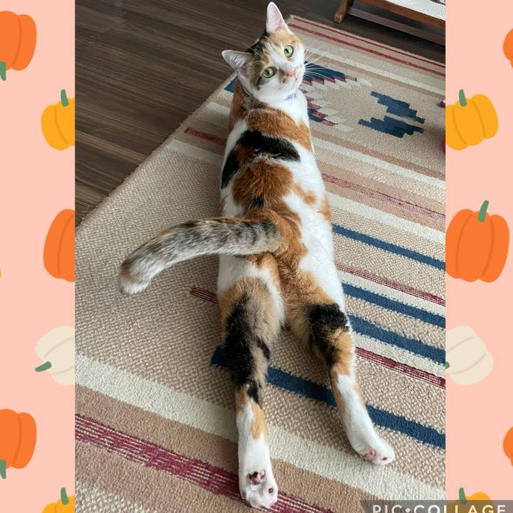 0d3914be 143c 4349 a0b1 680796a47b81 1727589287082