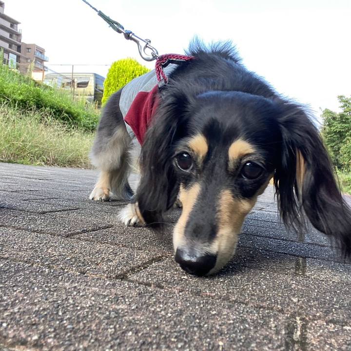 0d399260 5b8f 4dbf 9490 6e9f808b17ab 1758151662607