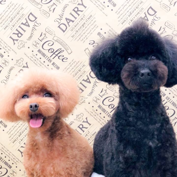 0d39a349 968b 49eb ba55 fdbbd5783b63 1611735744937