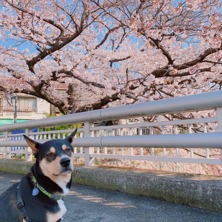 0d39bb70 8d85 4a73 873c 6b141cb7b209 1554079409478