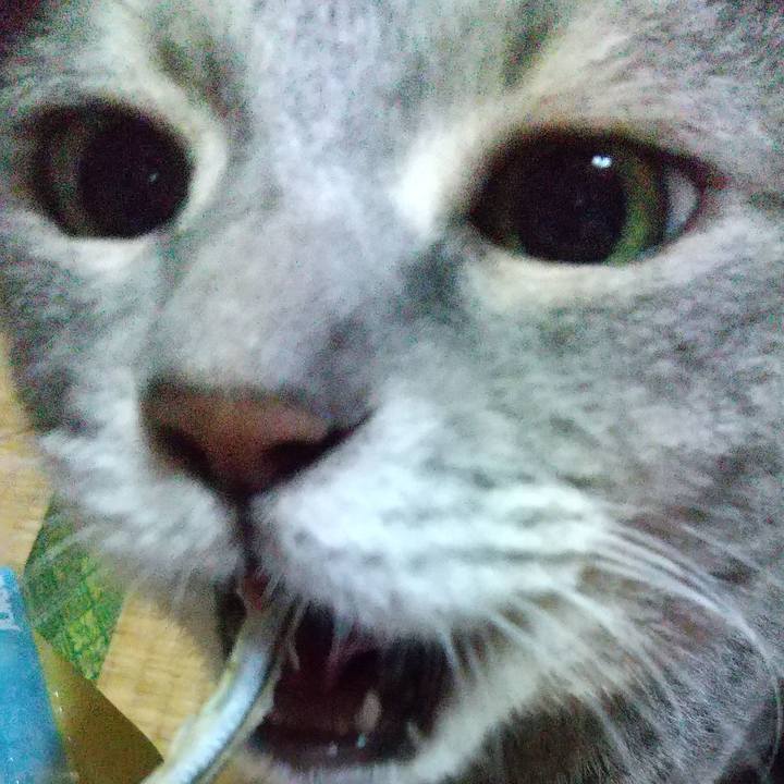 0d3a0dc5 73ea 4865 a5ce b86797f8f6d9 1600179925092