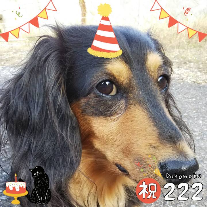 0d3a2480 1d3d 4cf1 aea4 3d8ee3bc98c2 1645513604863