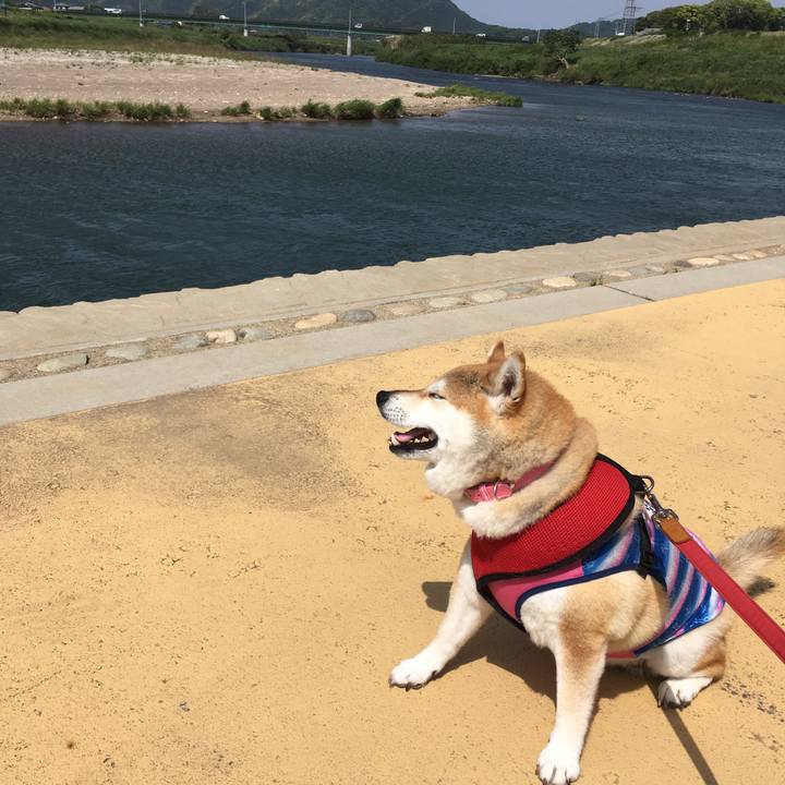 0d3a6056 cab7 480e 9090 a644c2f86e6c 1620541714764