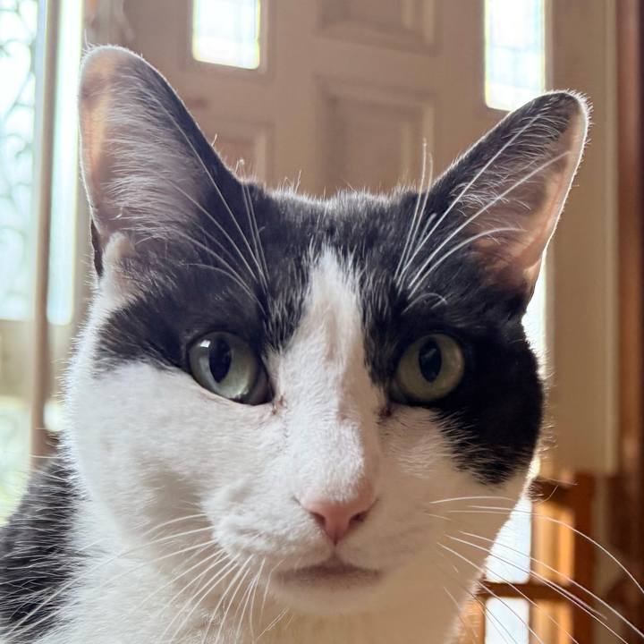 0d3a6a93 eb6f 4242 a9bc 1cc9a35141a1 1747704182396