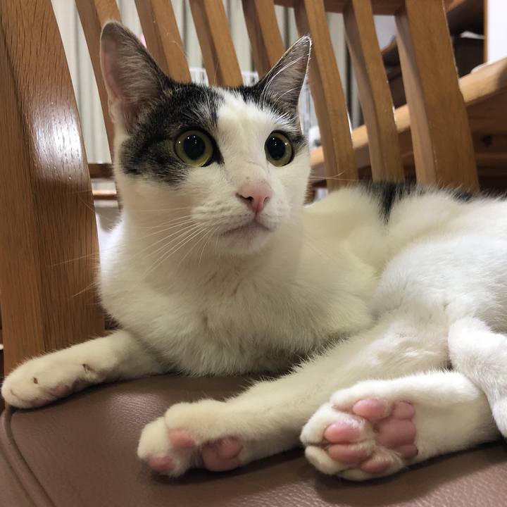 0d3a768e 4c09 4099 8371 29c1b346c2f8 1621081393700