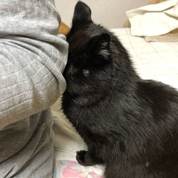 0d3a84cc d970 412b a43d dada7f68e482 1593883551822