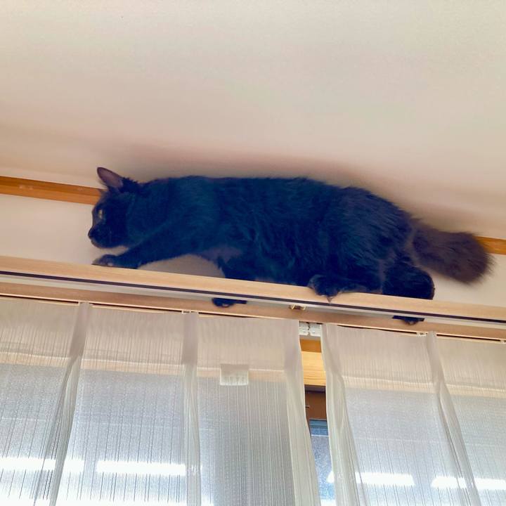 0d3a8663 ece0 429d b939 031c8a4094fb 1715484740307