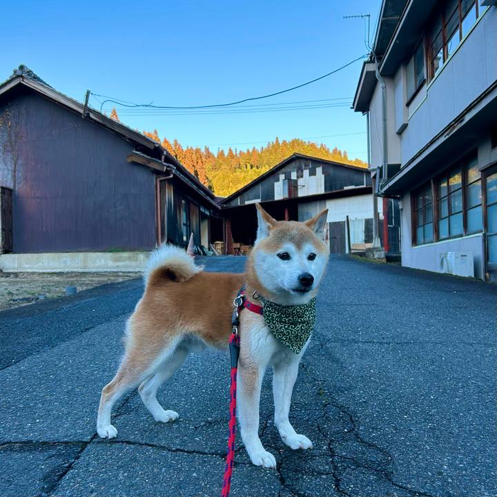 0d3aba8a 1a68 4ff9 b0bf 145ce1e19a0e 1705827707273