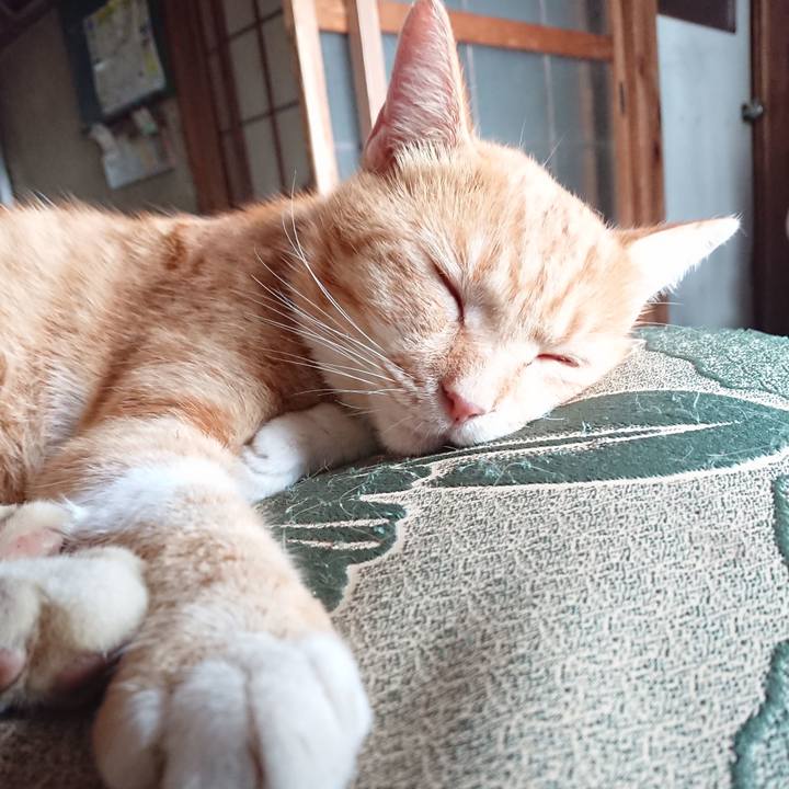 0d3abb1d 4e07 4cfa b355 32365a82b18d 1570253114416