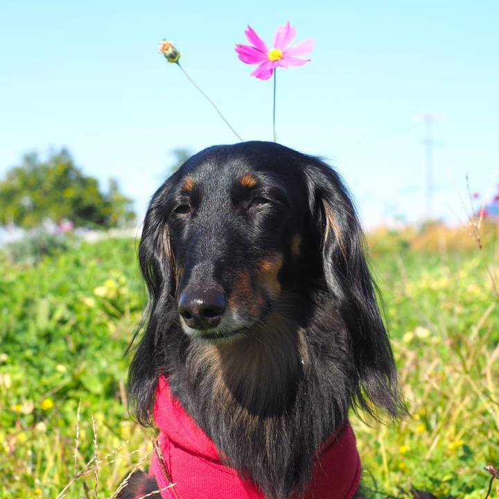 0d3ae653 ede9 4477 85b7 1e6ad08f0bed 1637125534467