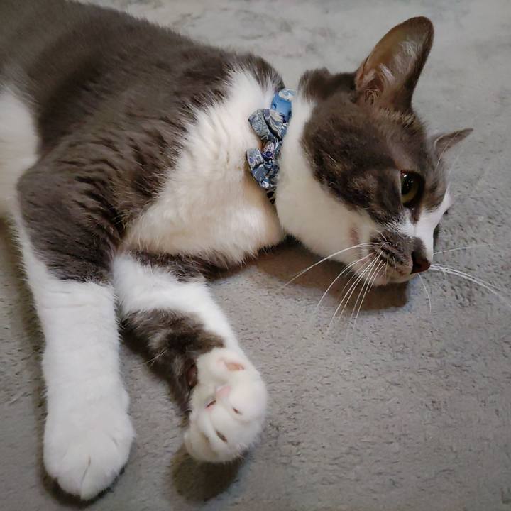 0d3b0291 db1e 43a3 823b c5aa646884ed 1699398997891