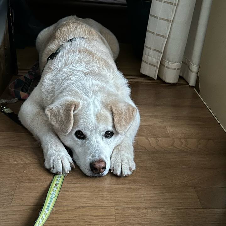 0d3b6153 3bc6 48b0 ab23 e4110628c798 1718669610102