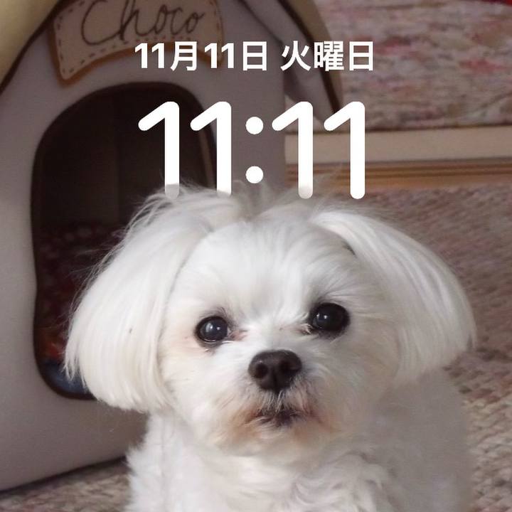 0d3b6704 b4e0 4104 8518 65de7d8a9b4f 1762827171850