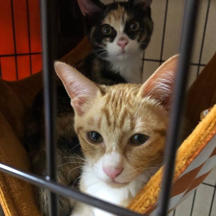 0d3b7123 90e7 41a3 900d c1ff7bcb46ef 1574664839377