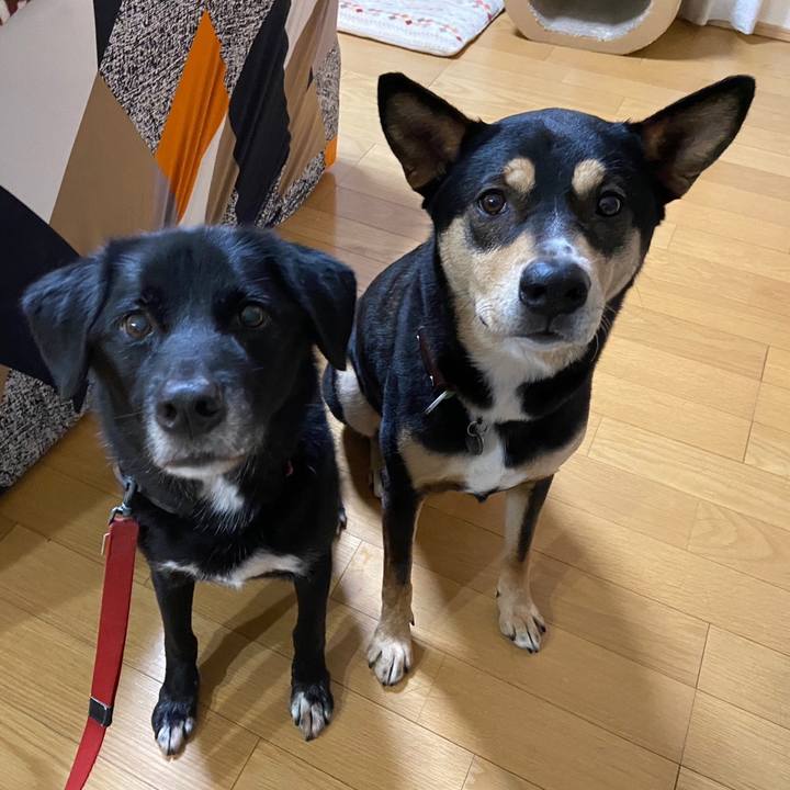 0d3b75ef e2c0 4462 ba6f 679a6b21ba2a 1673748273402