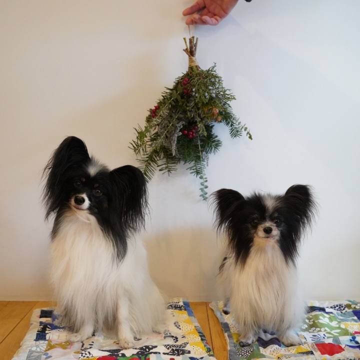 0d3b7e15 9a77 4e40 bdfc 25615382f38b 1639277666088