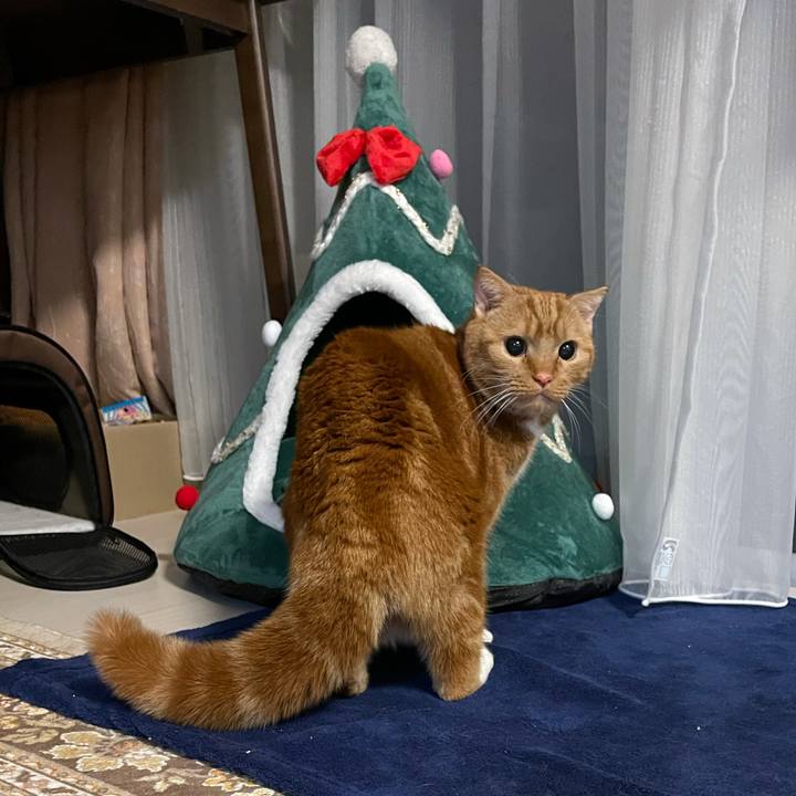 0d3b868b b0bb 4bc1 bb6b 175e334184df 1608468695744