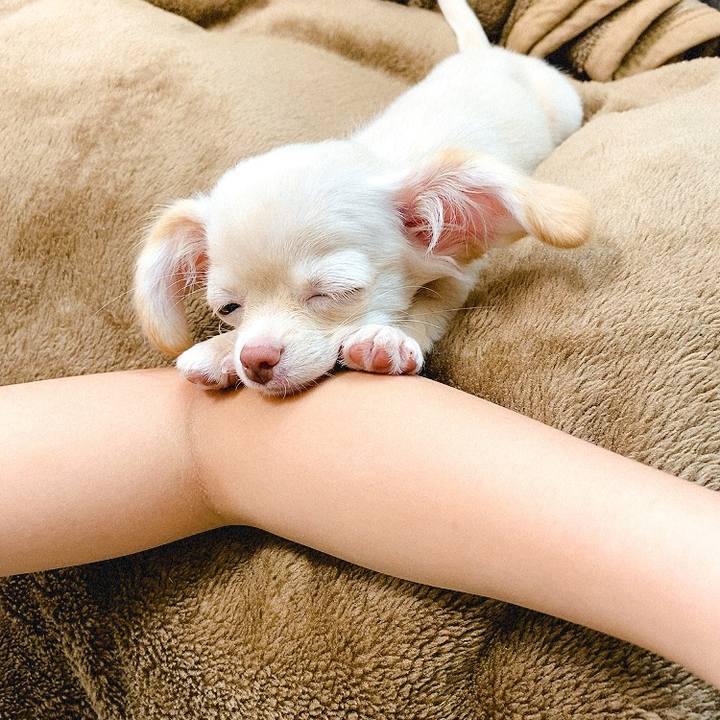 0d3ba3db e2ff 4514 87fb a9b0473b6111 1590527938207