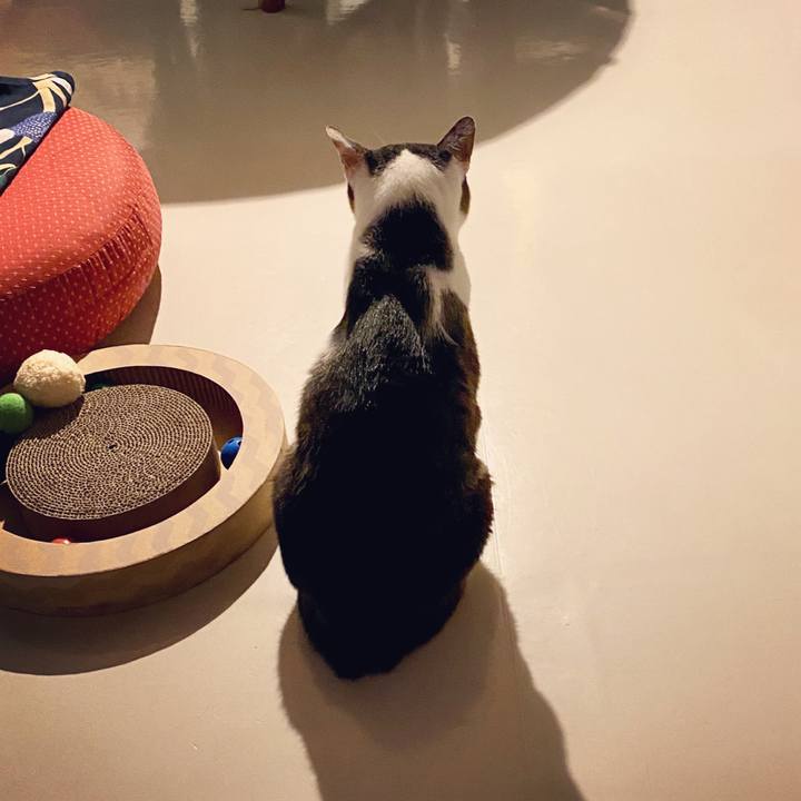 0d3ba843 5b24 4628 9184 4191a99cdccc 1598451537308