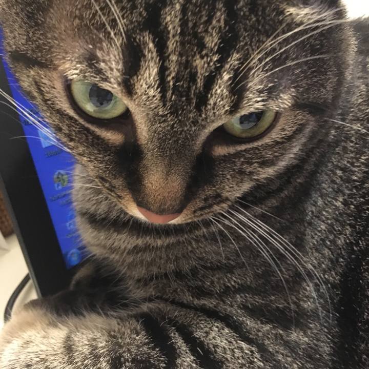 0d3bb8b5 c27c 44ea 9049 c1c1ef89021a 1563246488468