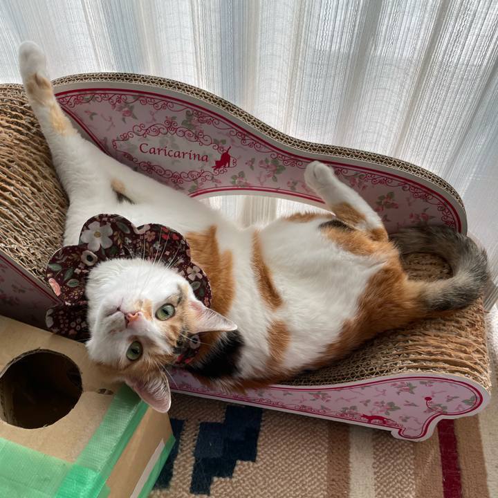 0d3c4040 e401 4a96 86a5 96707d952c27 1751417528601