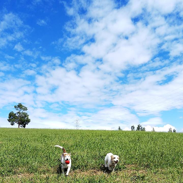 0d3c4dd6 5b14 4181 8926 358bfdeac910 1538889168548