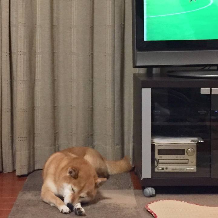 0d3c6099 ce71 40c8 95cd 6769d36f2c03 1529858347670