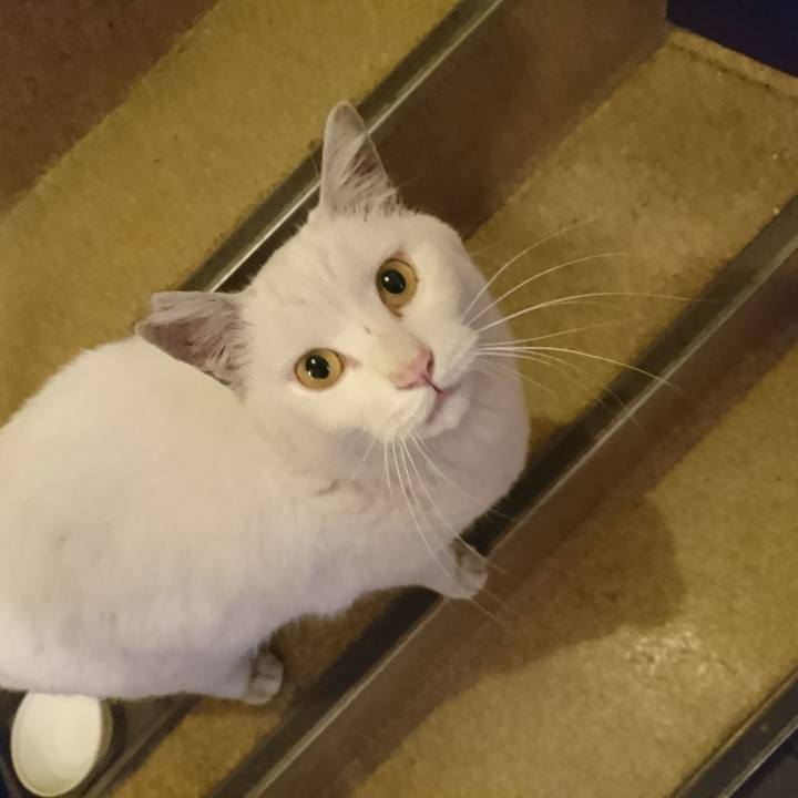 0d3c74b7 f93e 4444 bfb8 1475c5a081ad 1519564471197