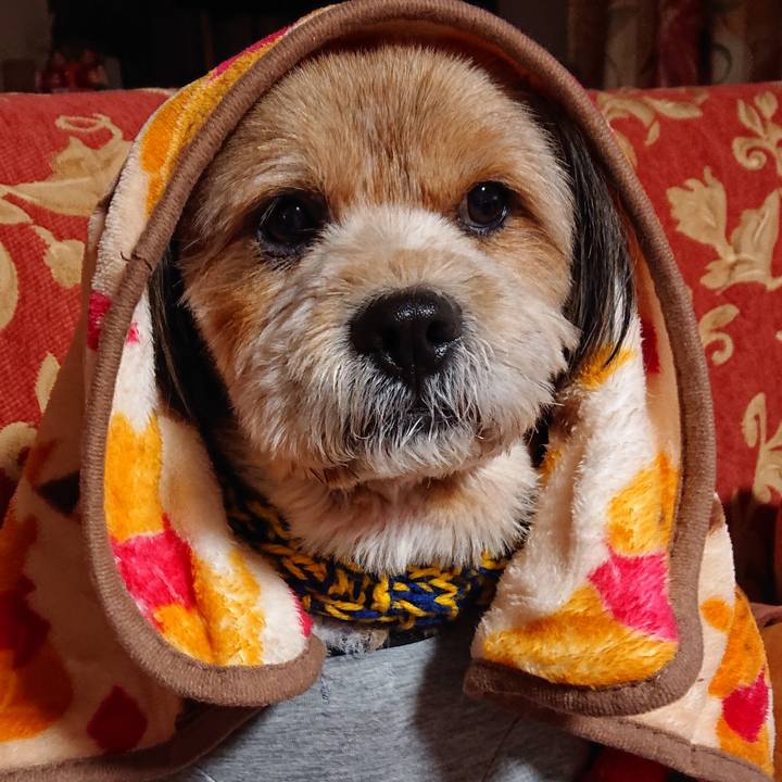 0d3c8e09 5411 4008 b495 25f86efc49c4 1579343331982