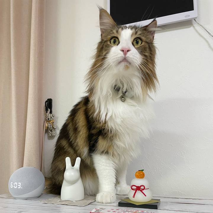 0d3cc288 6e64 492b 965f 40545ab93e2b 1672218520727