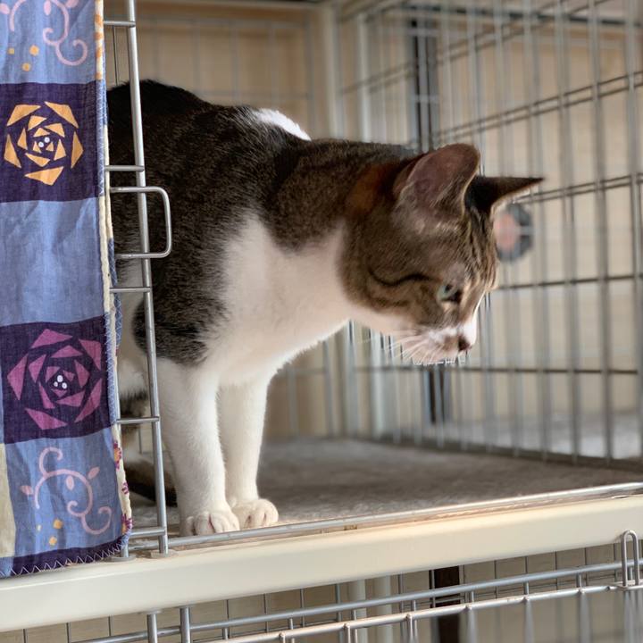 0d3ce842 ba87 438b 9304 d9b9e3328a20 1568250518441