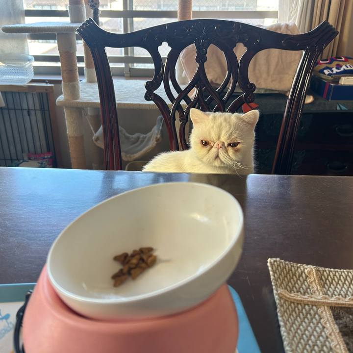 0d3cfc43 103a 4be0 b93b c388123203c2 1703555634700