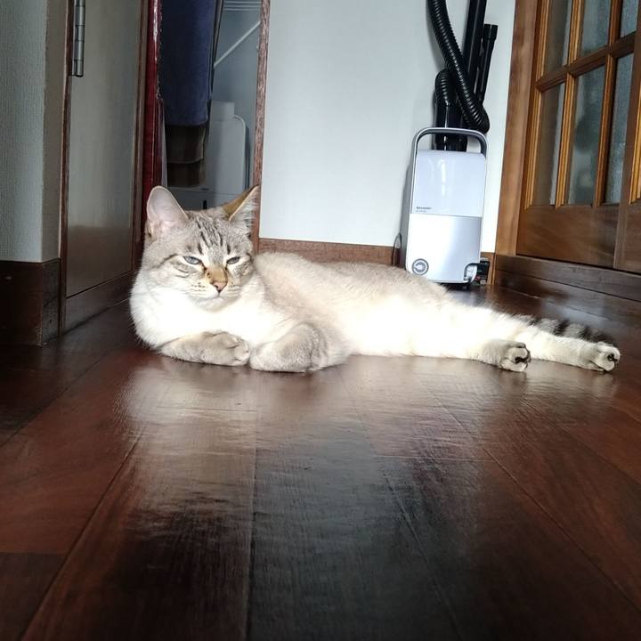 0d3d07f9 1ff3 4776 8bfc efd11bedafa0 1627112257927