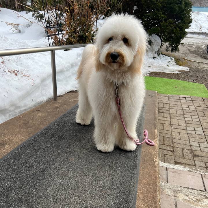 0d3d4de5 0fb7 40c1 a194 447396772005 1740915940573