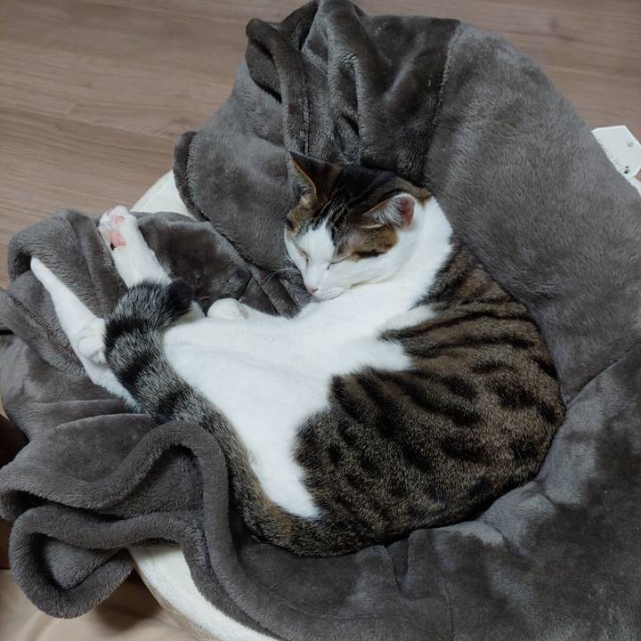 0d3d93c5 dbf5 4ca8 bb5c 2410f0e6ea43 1643538290885