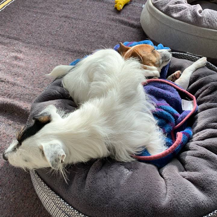 0d3dd838 0ec1 4f1a b0a1 8bedc4c54df7 1609131027608