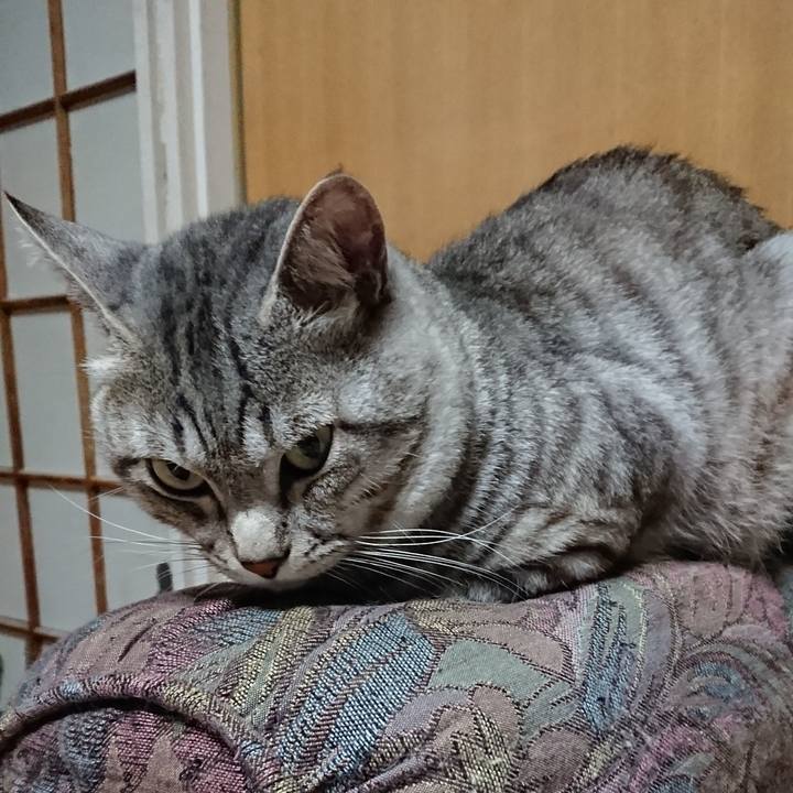 0d3df228 878e 4765 be08 8325e210927e 1567503832942