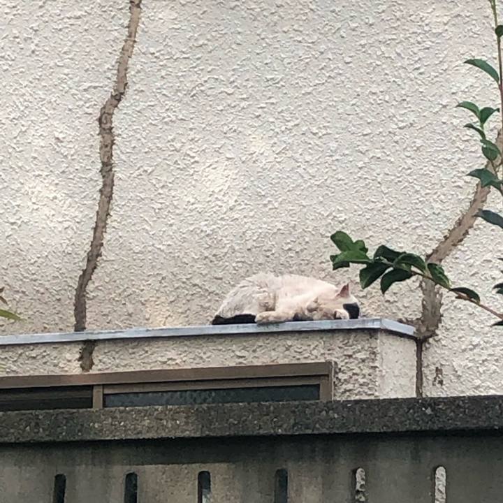 0d3dfd0c 6fe5 4907 a92e 8dff410dafba 1568466760783