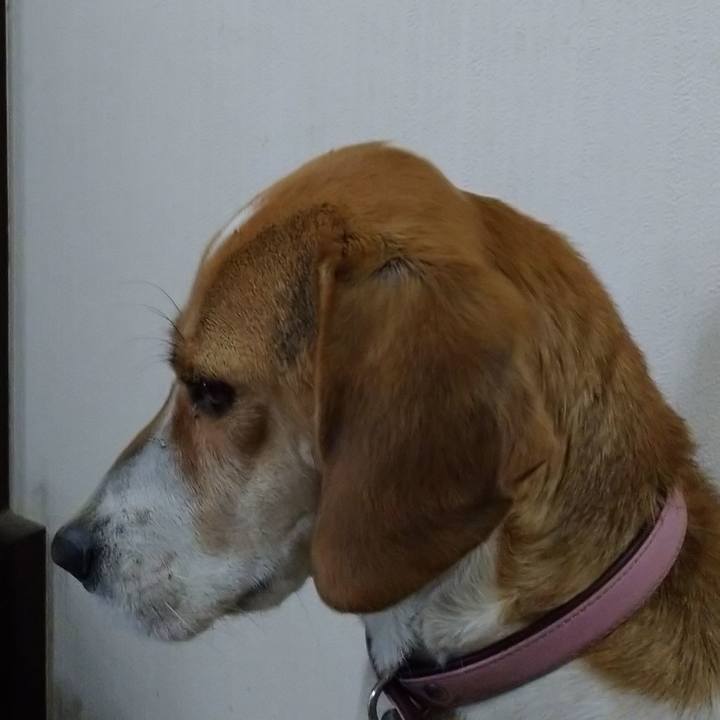 0d3dfd95 9a99 4883 bd38 b33e77f59fd0 1585715964007