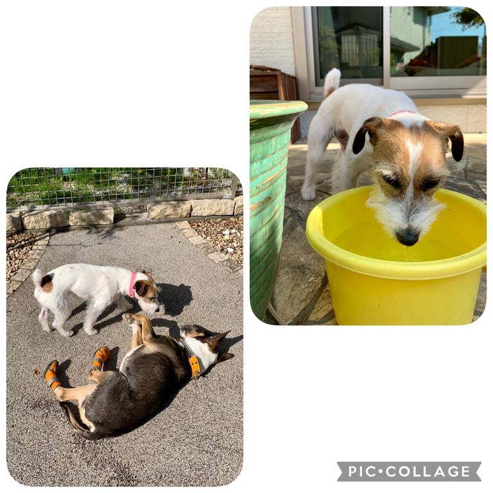 0d3e2be8 3713 4d84 97d7 ac78f28cb0e1 1618118289466