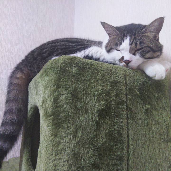 0d3e2faf 257c 4ce1 840e 28e23f1e078a 1661909210966