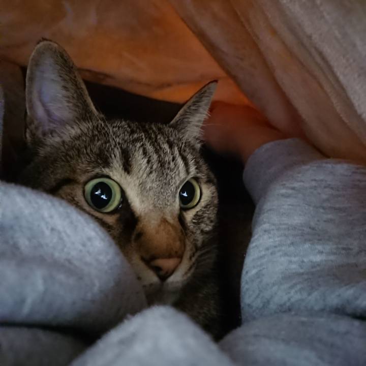 0d3e3b68 0a80 4d53 9949 e50fdba7f994 1580515918417