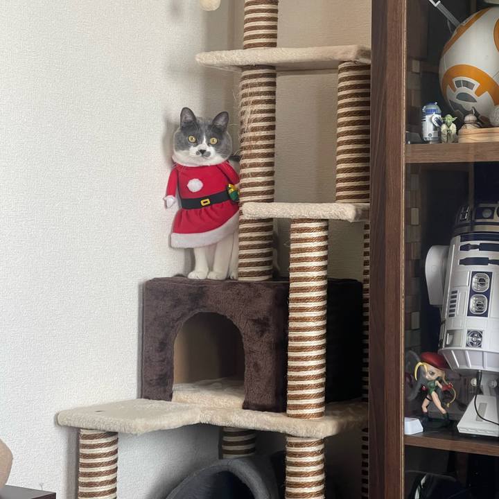 0d3e599f 8627 413e 8320 82ab7131a4d6 1671860805510