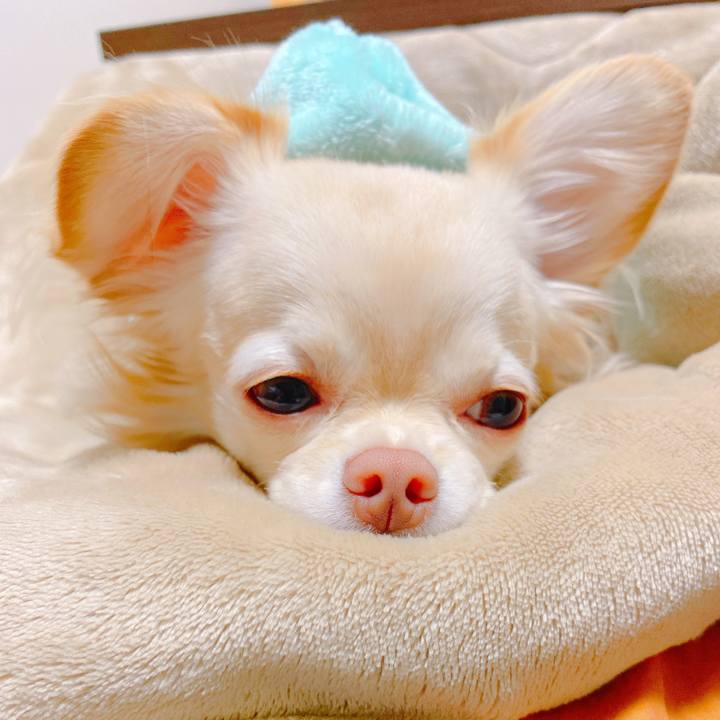 0d3e5d3b 7e97 4f0b a0db 887f5f3f6900 1640316056953