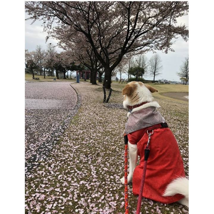 0d3e6662 f345 4054 94e5 4cc0682469a0 1555763624490