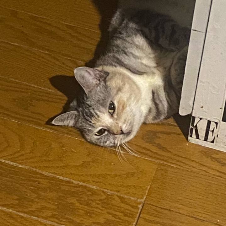 0d3e9754 96a8 4d49 bf54 329649edcb26 1695049141036