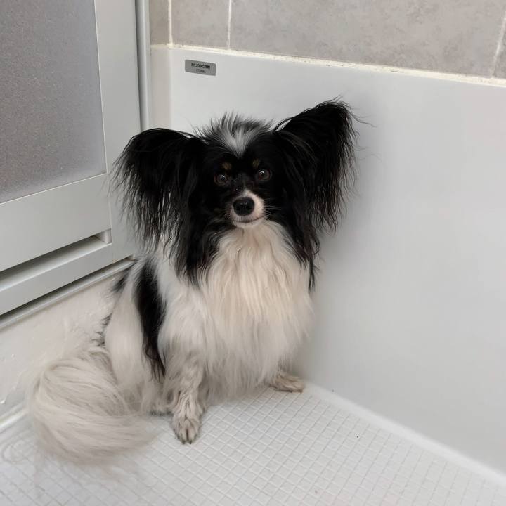 0d3ece3d 3e26 49f6 93db 35491ddf81e5 1558739944863