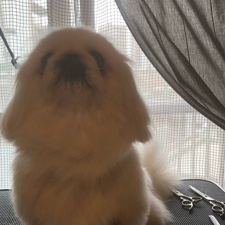 0d3f166e 3545 45ec ae7c aeee8a72aaa8 1533714316815