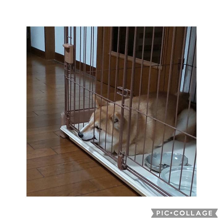 0d3f7c52 17cd 4011 a79e 82b4bbbe1479 1752672138197