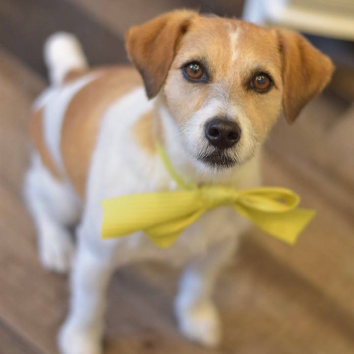 0d3fa2f1 5c64 44d0 8dad bea5bb039389 1588336985572